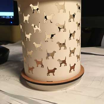 Dog Luminary