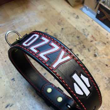 Custom dog collar